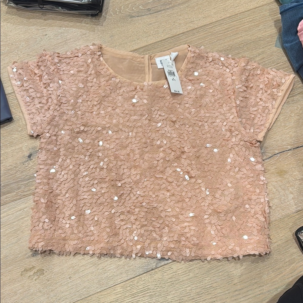 Sequin Embellished Crop Top